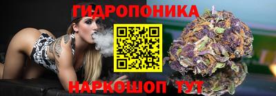 индика Кохма