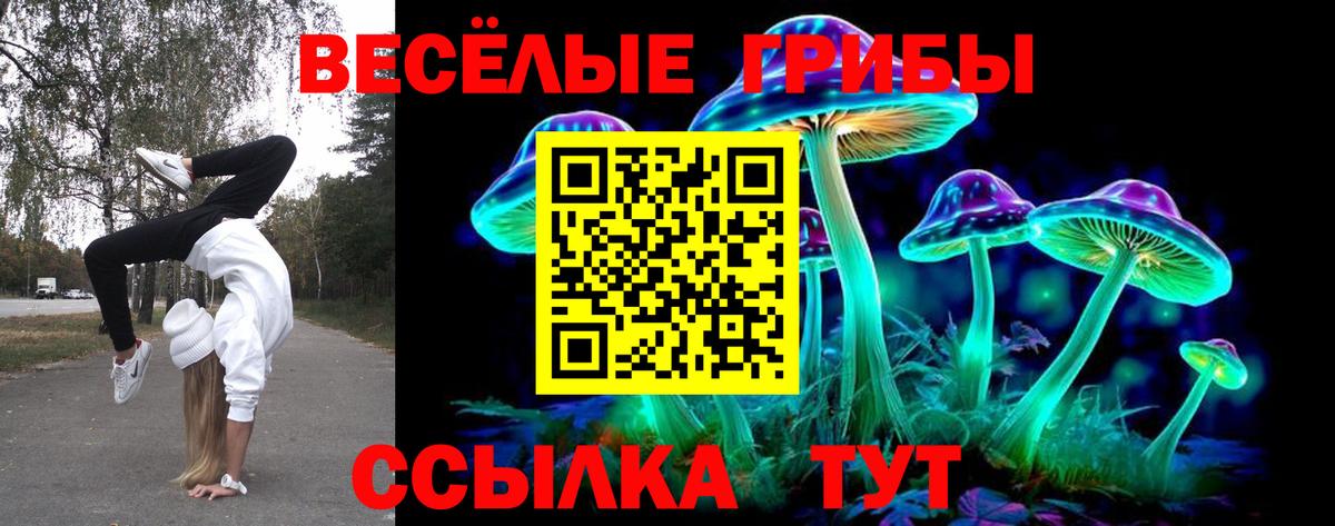Галлюциногенные грибы GOLDEN TEACHER  купить   Елизово  Вход с VPN  Галлюциногенные грибы мицелий 